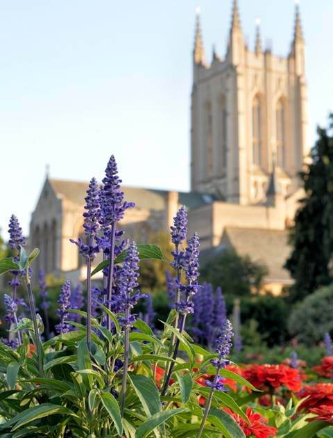 Cathedral