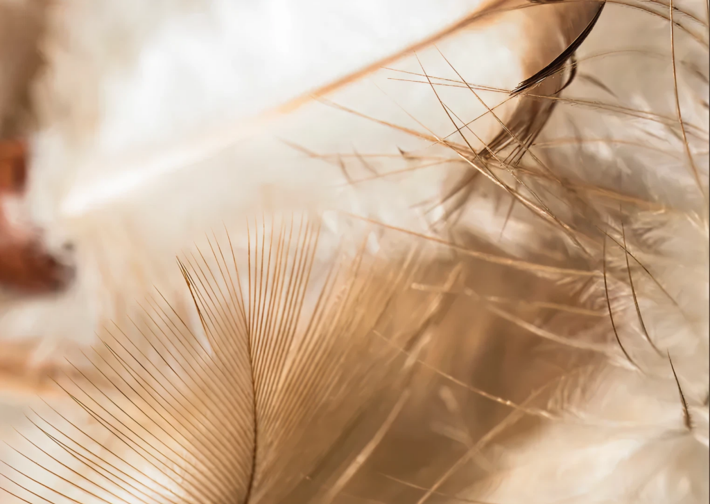 6fa7641d1cddf69f4f3a83d9f50aca04168a36f7