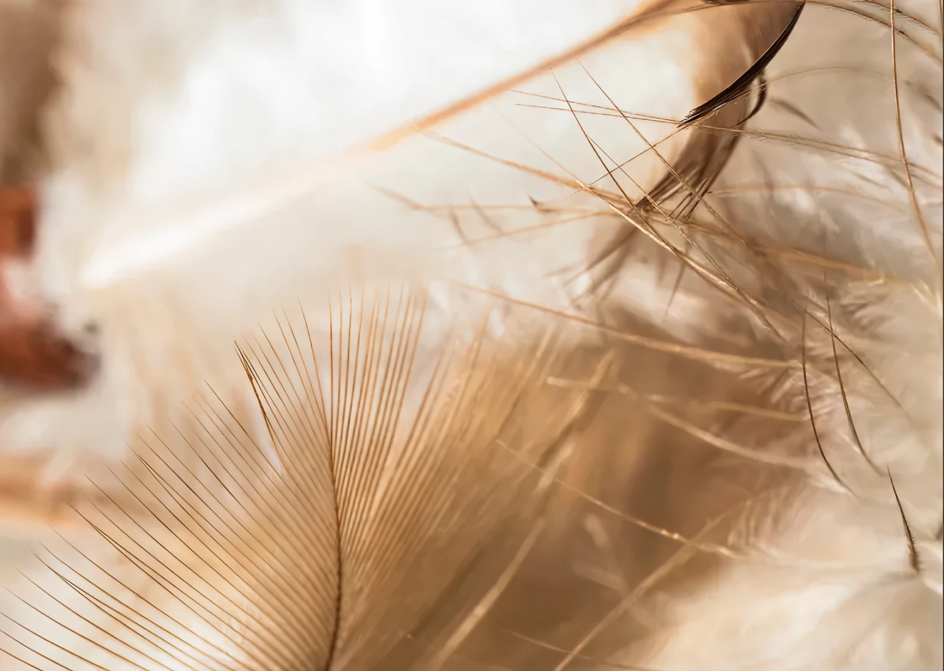 6fa7641d1cddf69f4f3a83d9f50aca04168a36f7