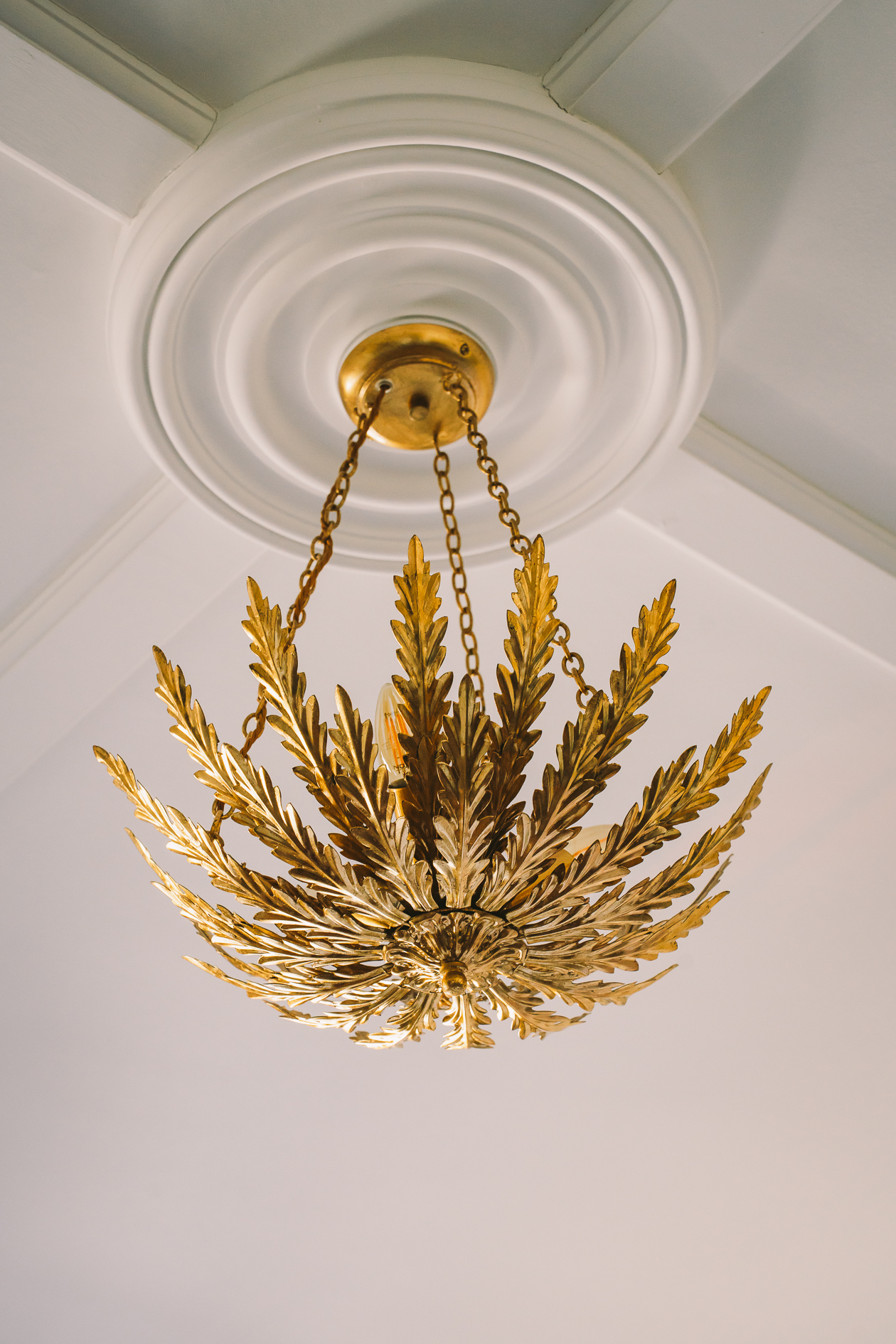 04__25_Angel_Photo_005